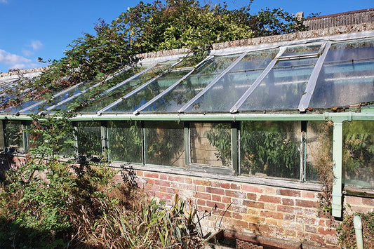 The greenhouse at the Penny Licks orchard