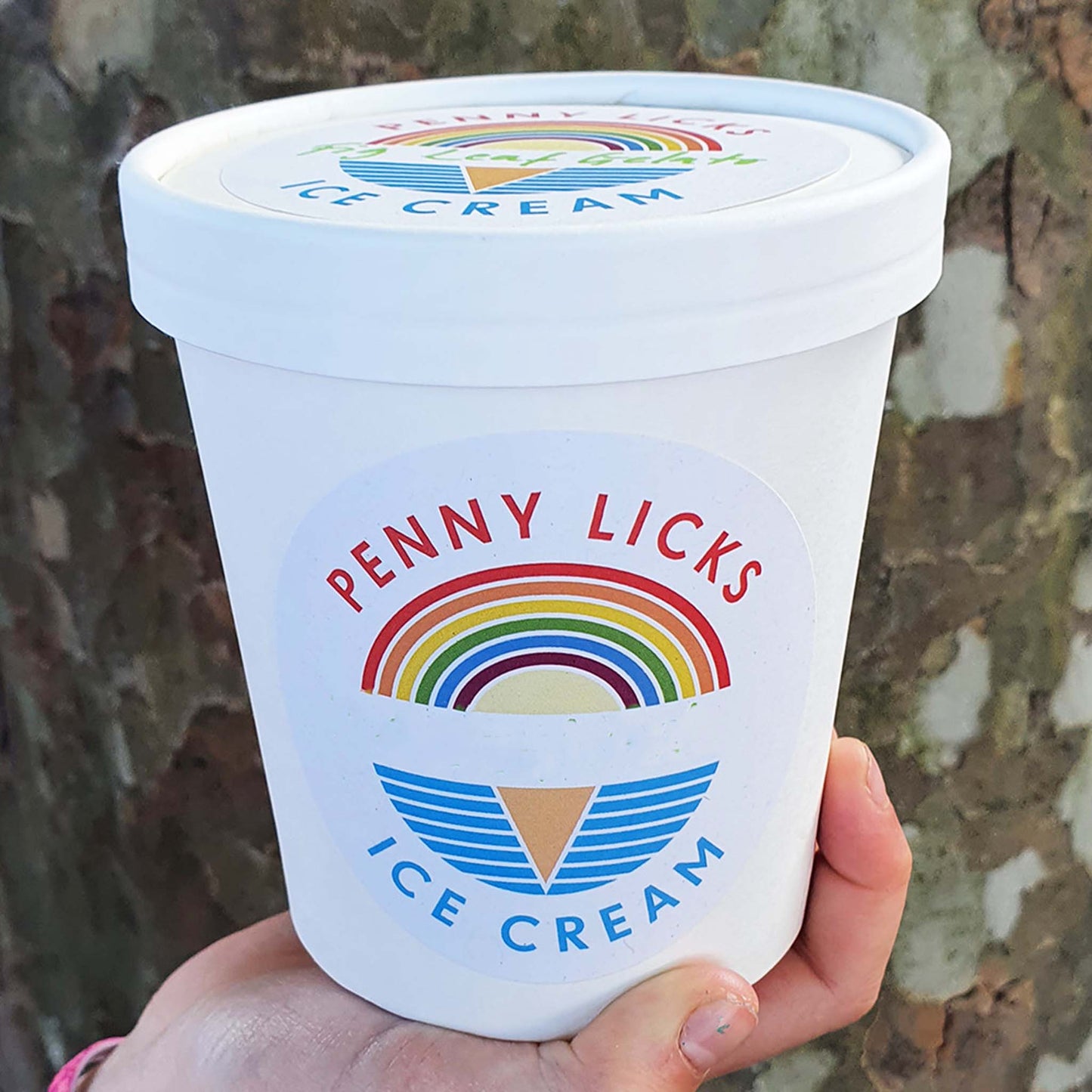 penny licks ice cream pint tub